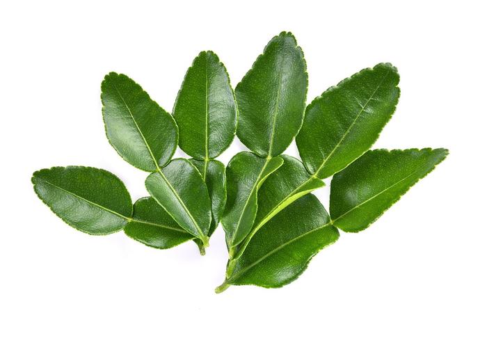 Daun Jeruk 100gr