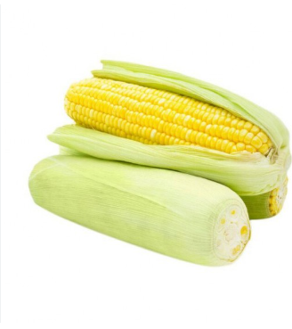 Jagung Manis